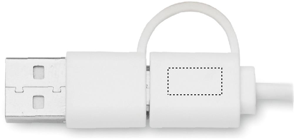 Area di stampa Plug